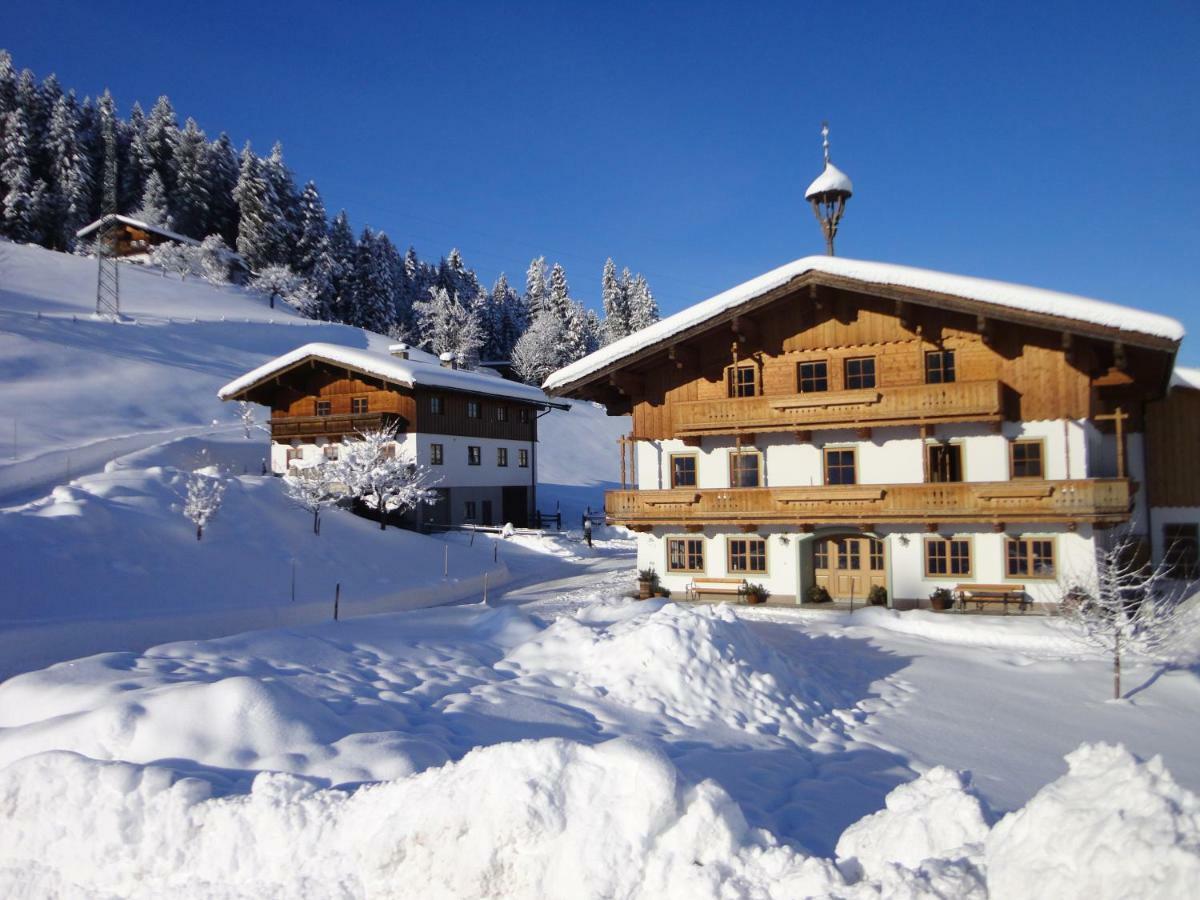 Bio-Bauernhof Niederlehen Villa Fieberbrunn Exteriör bild